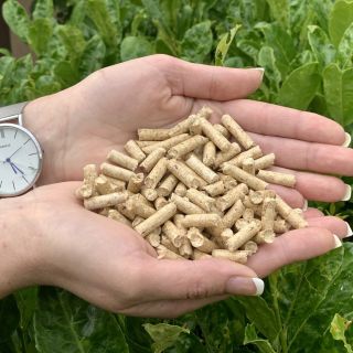 🔥 Přijímáme objednávky na topnou sezónu 2025! ✔️ Prémiové dřevěné pelety české výroby ✔️ Spolupracujeme s ověřenou značkou...